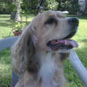 Hector Monzon - @HectorMonzon2 - Twitter