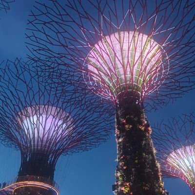 ZahraHussa12321's profile picture. 