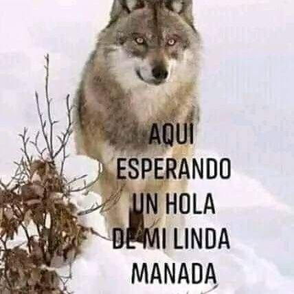 RichardSan4745's profile picture. Masculino:35 años,limpio,respetuoso, buena onda y muy Hot en busca de Parejas decididas para (HMH) y M solas, no busco problemas ni doy problem, con exp MD 🇲🇽