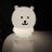 Shimizu_Garbel
