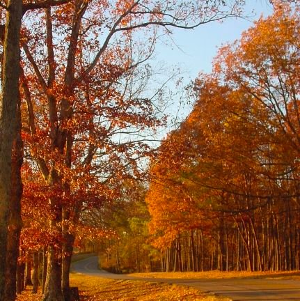 MomaMoma87's profile picture. 