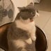 Guacala Que Rico!! 🤣 (@guacalaqric0) Twitter profile photo Guacala Que Rico!! 🤣 (@guacalaqric0) Twitter profile photo