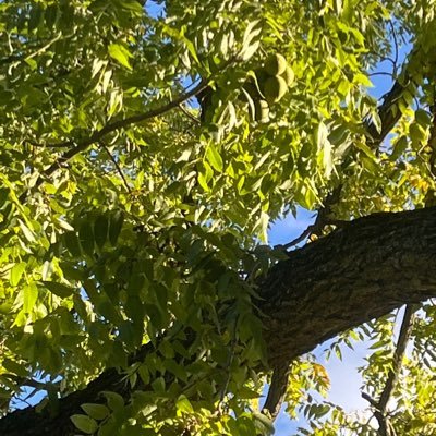 timemindfulness's profile picture. 