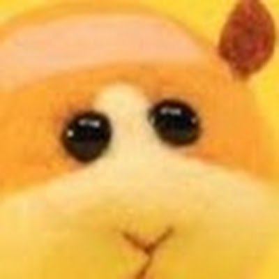 否定質疑  レギュラー落ちた