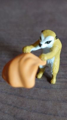 動物観賞、楽器演奏、ラジオ、ユルめのサウナー、口腔ケアヲタク、ション◯ン甘い系中年、灰白ハチワレ鼻ピンク猫への執着が異常、思いついたろくでもない戯言を日記的に呟きます