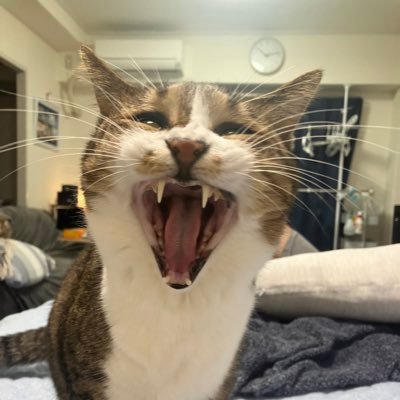 mukade1789's profile picture. B'z大好き😘スロッカス 猫🐈好き😊