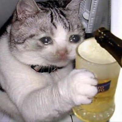 spphc_xx's profile picture. anything sapphic 🏳️‍🌈