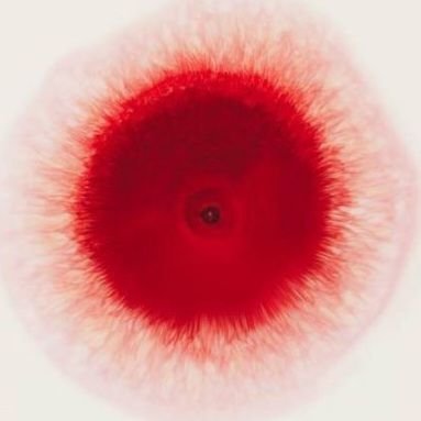 chingizpojsr's profile picture. 