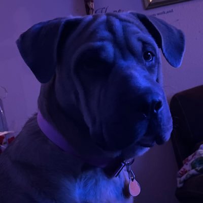 brayangaona220's profile picture. WWE is the best