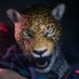King II: Giant Swing Boogaloo (@kingsavageaxe) Twitter profile photo King II: Giant Swing Boogaloo (@kingsavageaxe) Twitter profile photo