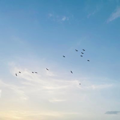 albadi_memes's profile picture. 