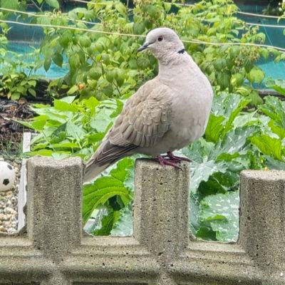 JacekSo55781015's profile picture. Dla znajomych Ksiądz Robak