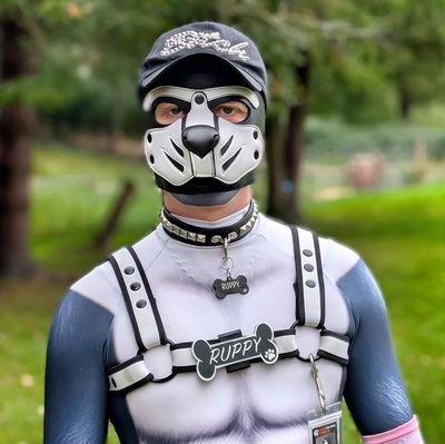 PupRuppy's profile picture. relocated to the other app: https://t.co/5j3Xed8zu7