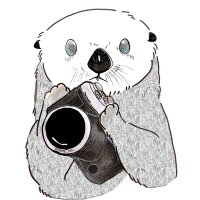 rainy📷️ (@rainy_ryo_) 's Twitter Profile Photo