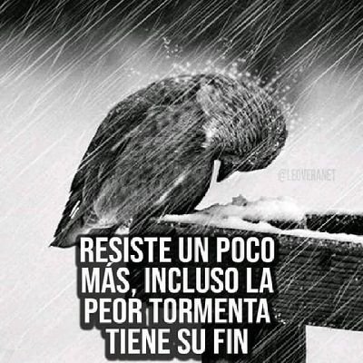 @salvadorvelaor3