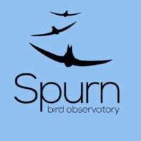 Spurn Bird Observatory (@spurnbirdobs) 's Twitter Profile