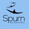 spurnbirdobs's profile picture. Follow us on Bluesky to keep up to date. Map of area here https://t.co/DKPJDKJ8Sy
