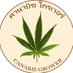 Canabiz Grower (@tsuthani1) Twitter profile photo Canabiz Grower (@tsuthani1) Twitter profile photo