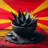 DejanGx's profile picture. 