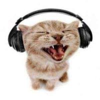 MIA! :D (@threebimm) 's Twitter Profile