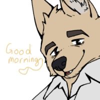 Ruger π (@plightryuo) 's Twitter Profile
