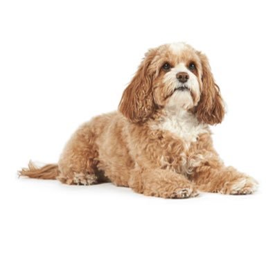 Akitakitakita88's profile picture. 厚みのある人間になりたい