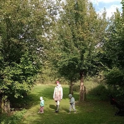 13fibres's profile picture. 🧶 🌸 💕 tlc13Love