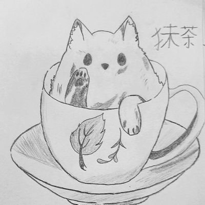 LucasLiang1400's profile picture. I want to be a really great supporter to Foxy.