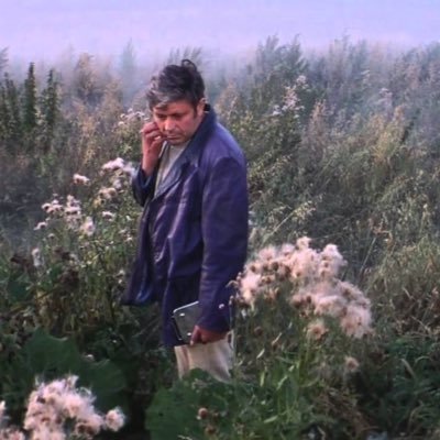 ayazceylan's profile picture. 🗽🎬