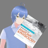 Swift | PHVtuber (Eng/Fil) (@_swift_e_) 's Twitter Profile