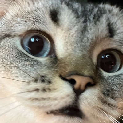 y__v__l__'s profile picture. 🎮