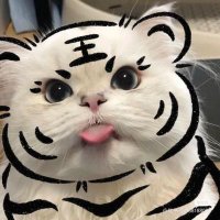 serena (@serenacorn) 's Twitter Profile