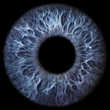 Toma_shi46's profile picture. うんこ！