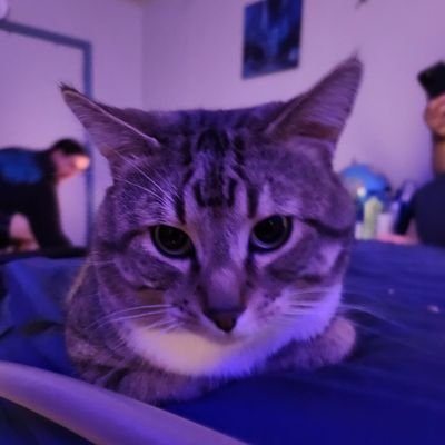 minihkwetan's profile picture. my lifestyle determines my death style