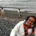 Liz Edith (@ledithhl) Twitter profile photo