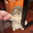 Alex Banner - @alex_banner15 - Twitter