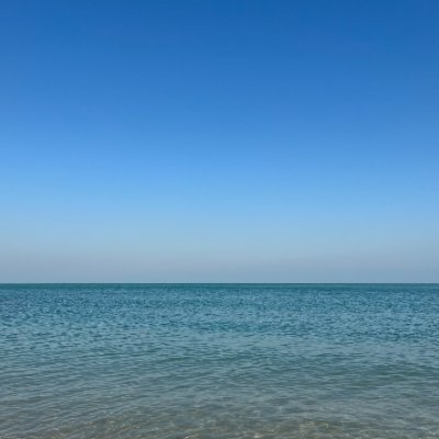 Amudhan_01's profile picture. I design chips for making bread.