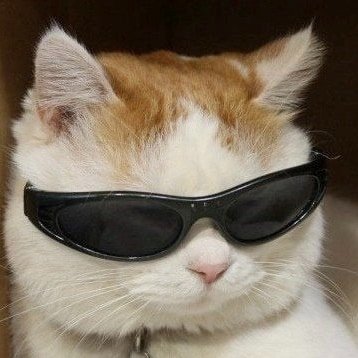 livegood07's profile picture. Spreding Truth Is My Intent 🤍