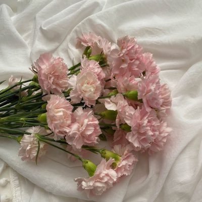 deargIoss's profile picture. new to studytwt and ranting