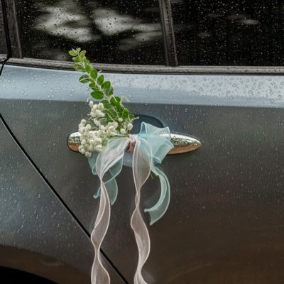 TuanChau12's profile picture. 