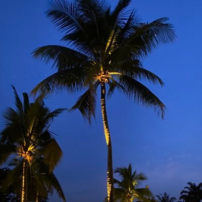 SatoshiMiy72346's profile picture. 