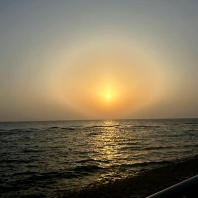 saleh_alqaydi's profile picture. 