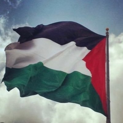 roninadir's profile picture. 