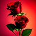 عاكس (@akht0955) Twitter profile photo عاكس (@akht0955) Twitter profile photo