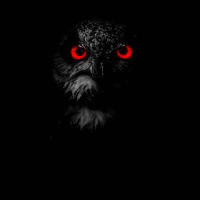 🦉@OWL_lasvegas 🎙️🎶@JUKEJOINT_lasvegas @stephangaldau