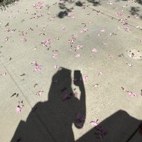 caia 𖦹 (@calaxmansi) 's Twitter Profile