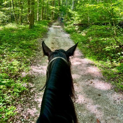 CTMatthews2003's profile picture. Psalm 46:10 Be still, and know that I am God