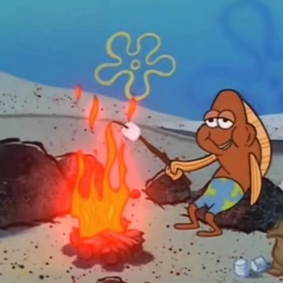 MamalShirazi's profile picture. 