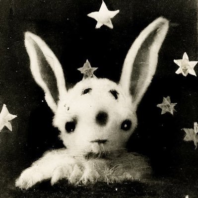 2fool4datworld's profile picture. ʟɪғᴇ ɪs ʜᴀʀᴅ..ʙᴇ ʜᴀʀᴅᴇʀ ☠︎