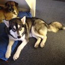 vicky honey - @vicky_tony - Twitter